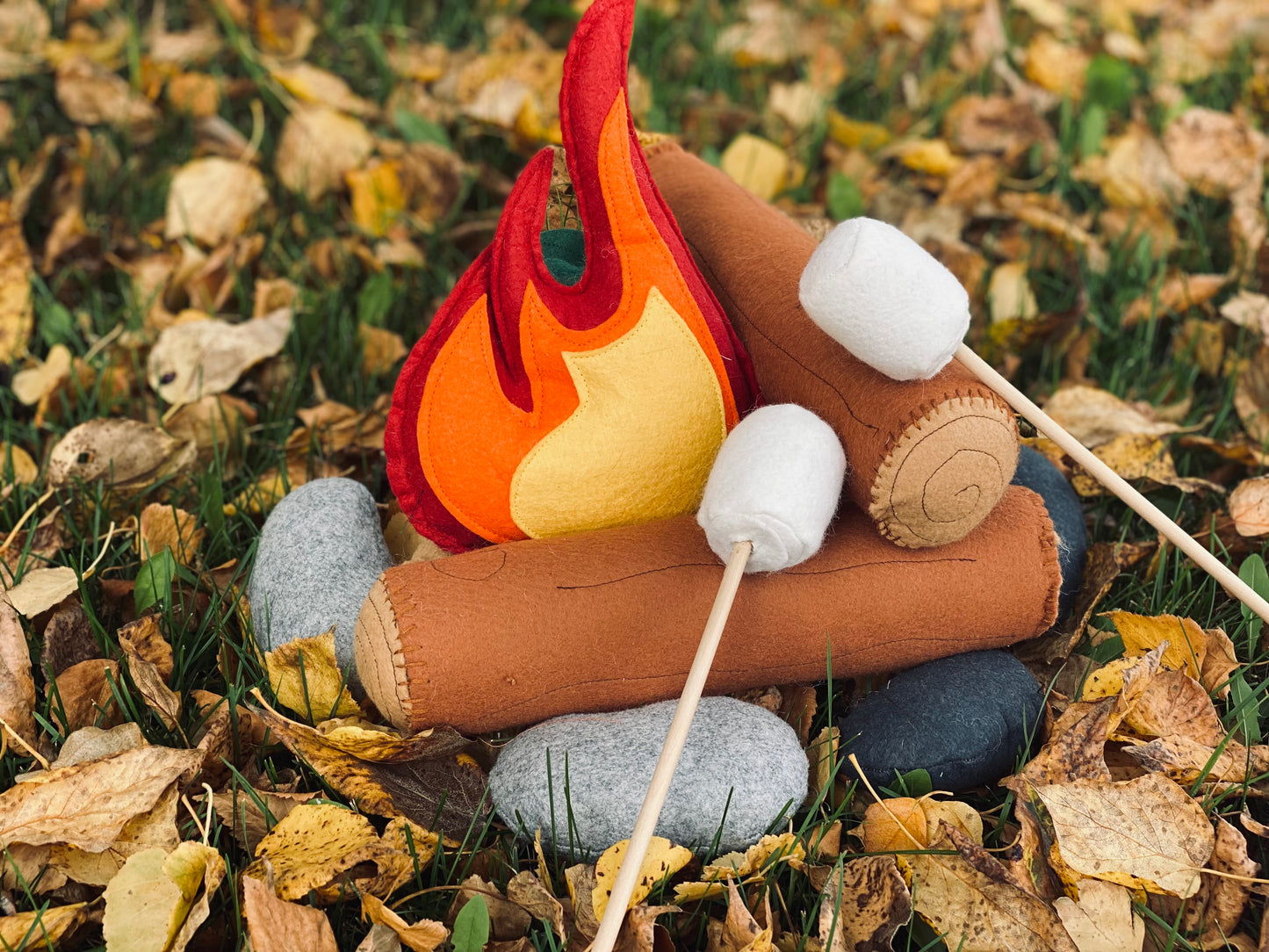 Campfire set RESERVED FOR CASSIA